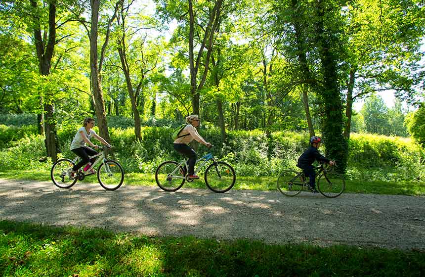 Louez des vélos et filez en forêt !