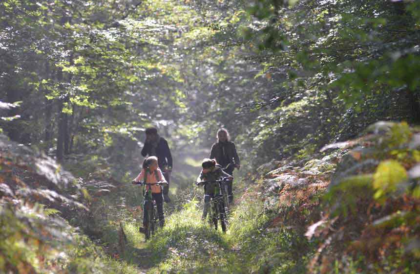 Balade à vélo en Forêt de Compiègne