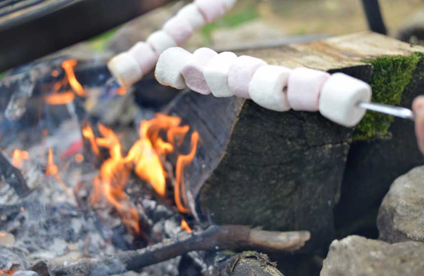 Chamallows grillés …- Domaine de Vadancourt - Maissemy
