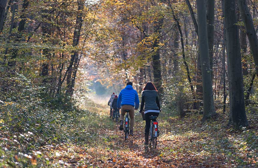 On vous prête des vélos : évadez-vous en forêt de Nieppe