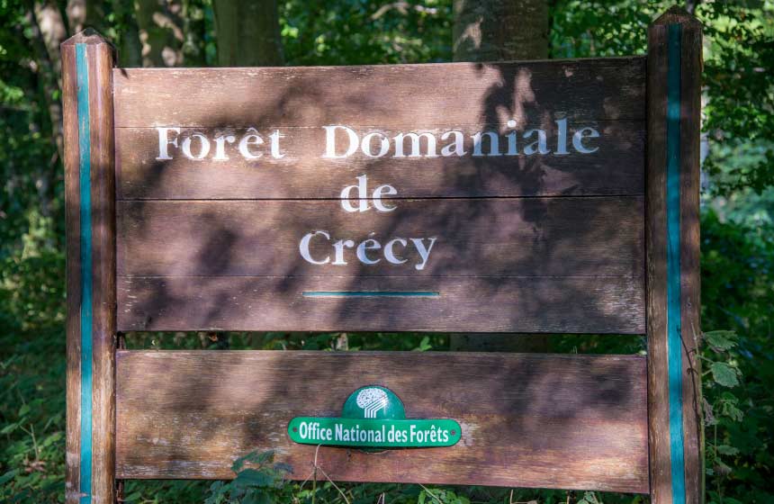 Forêt de Crécy à 2 pas du Manoir