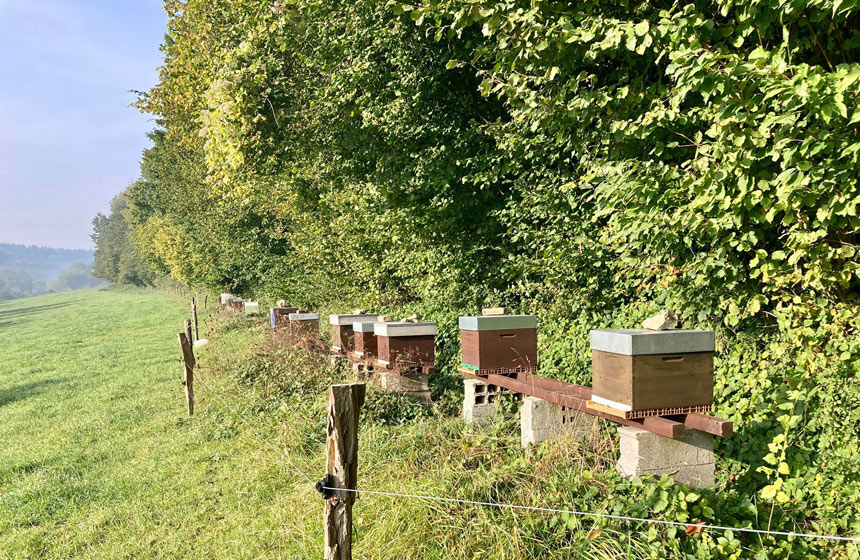 A la rencontre des abeilles à la ferme Les Reines des Près à Méreaucourt