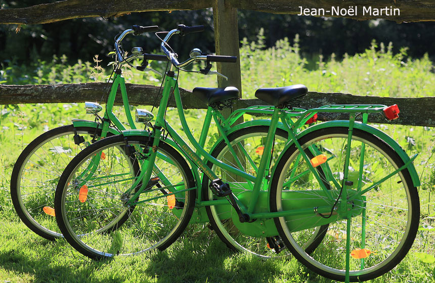 A vélo au Domaine de Fresnoy à Loison-sur-Créquoise