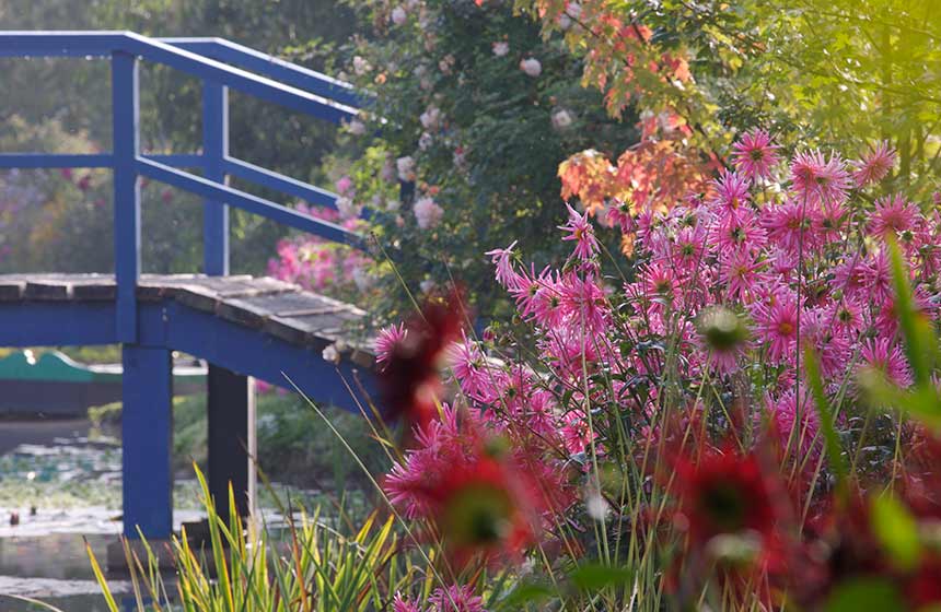 Jusque fin octobre : le jardin du peintre André Van Beek