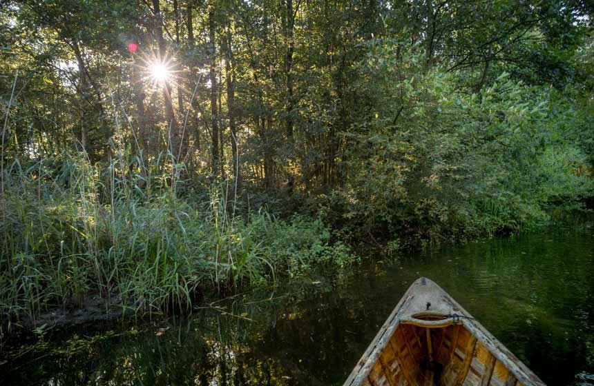 Sur votre étang, à bord de votre canoe indien...