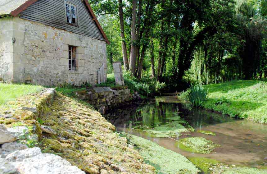 Chambres d'hôtes Le Moulin Saurèle - Promenez vous dans le domaine arboré et traversé par une rivière - Mont Notre Dame