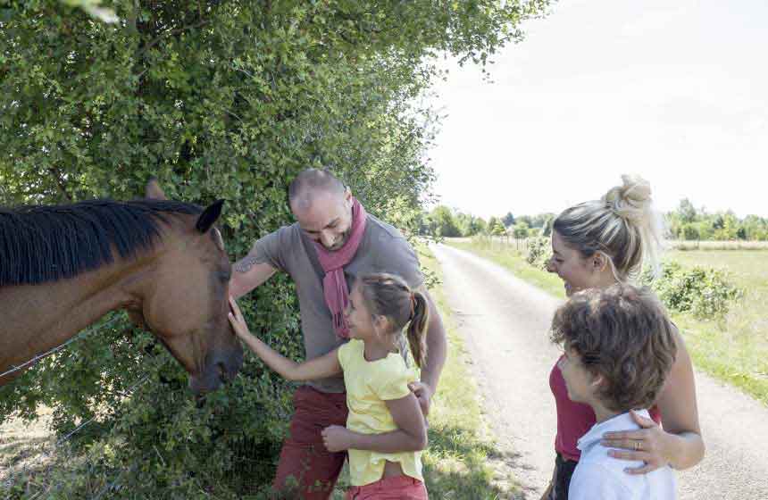 Les chevaux font aussi partie du paysage de Thiérache, notamment  chez votre hôte !