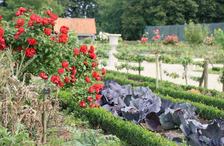 Les jardins à la française du Domaine de la Chartreuse