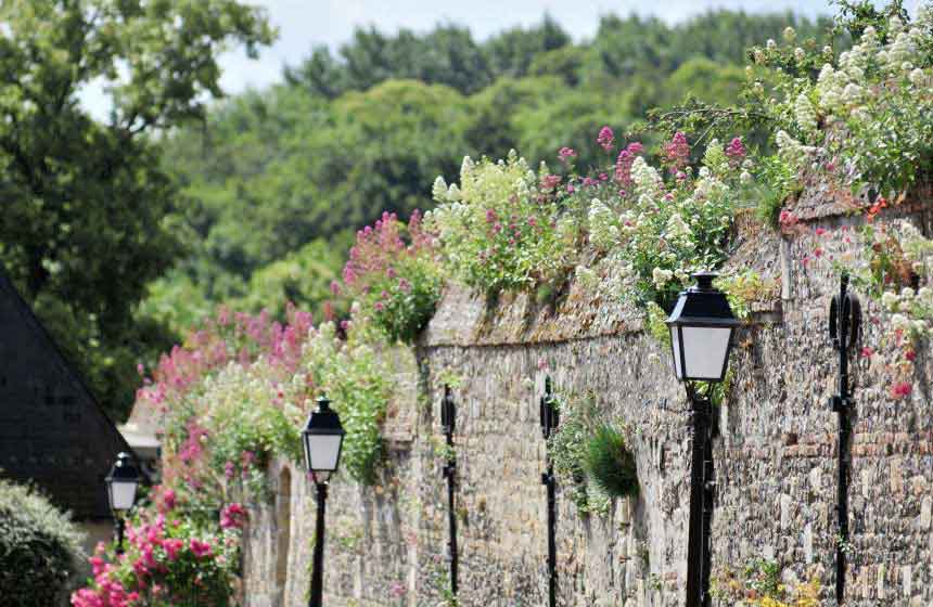 Les ruelles fleuries de Saint-Valery-sur-Somme