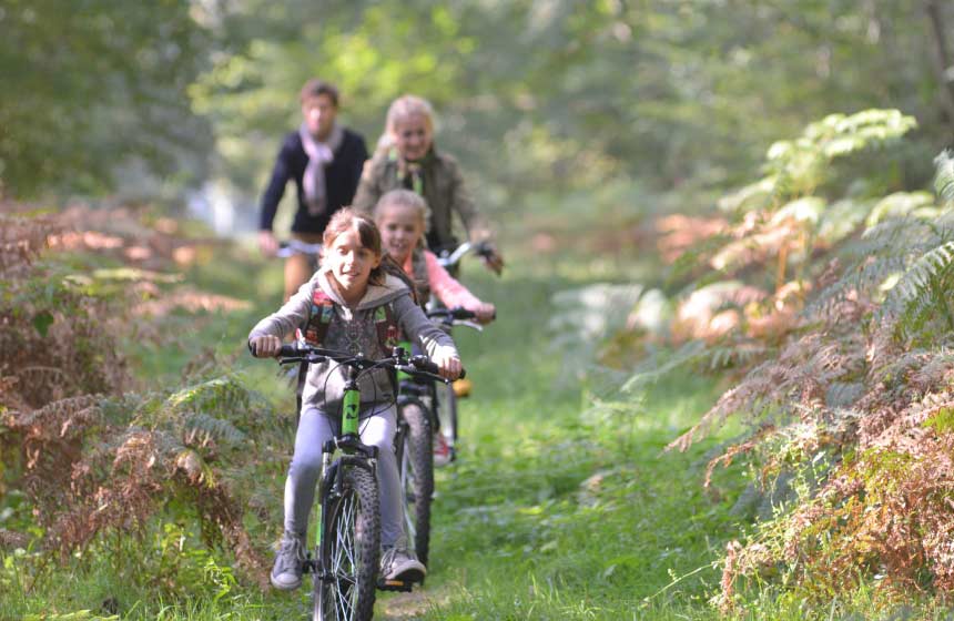 Louez des vélos chez “Picardie Forêt Verte” et partez pédaler en forêt.