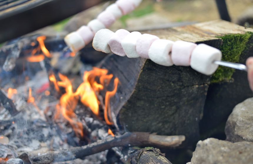 Chamallows grillés au feu de bois - Domaine de Vadancourt à Maissemy 