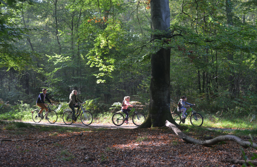 Promenade à vélo en forêt de Compiègne