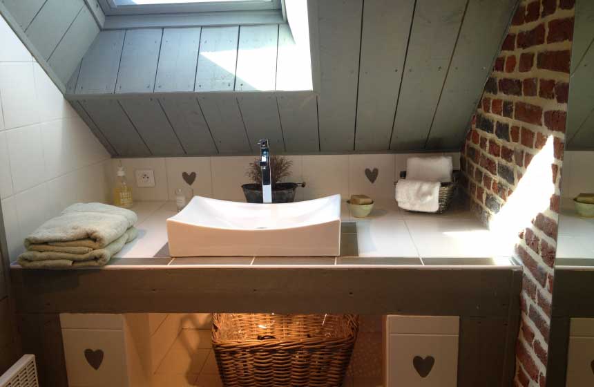 Salle de bain avec douche - Ferme de Ribeaufontaine à Dorengt