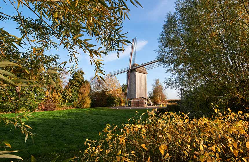 Les moulins à vent, stars des paysages flamands (ici, celui de Steenvoorde)