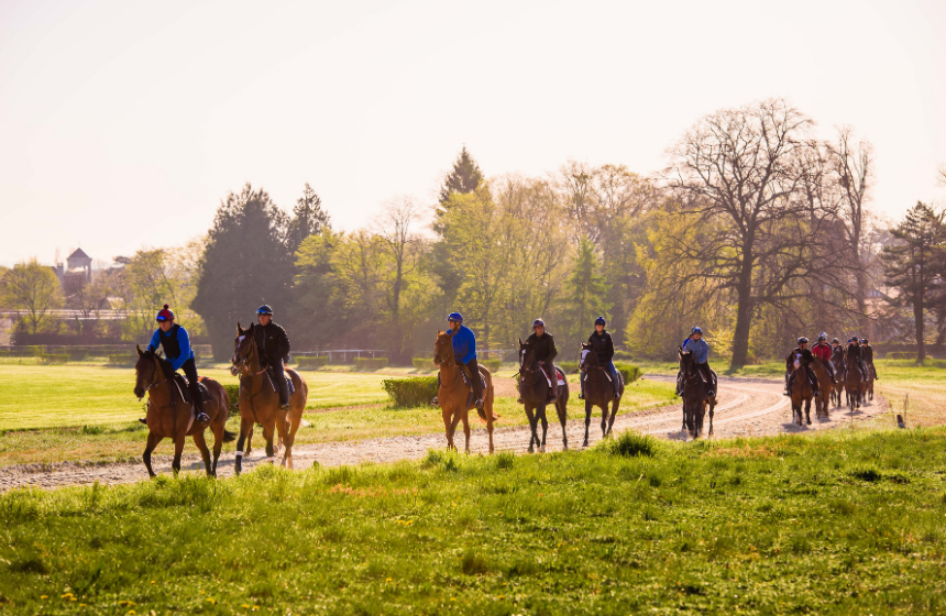 Les courses de chevaux - Chantilly 