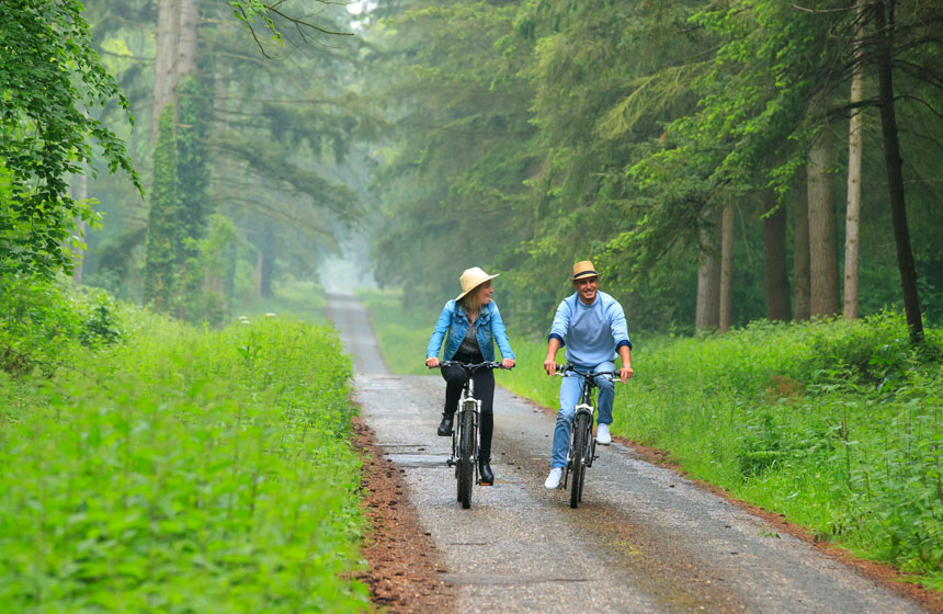 A vélo dans la forêt de Crécy en Ponthieu