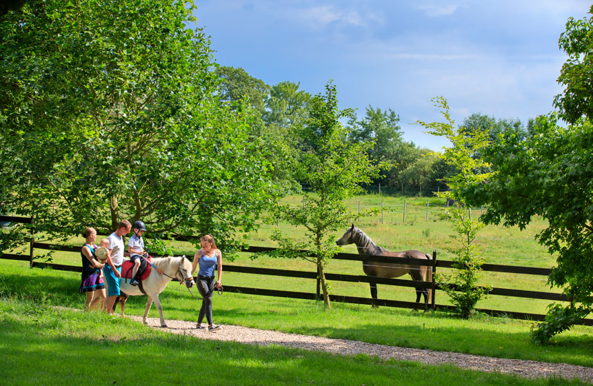 Promenade à dos de poney pour la plus grande joie des enfants