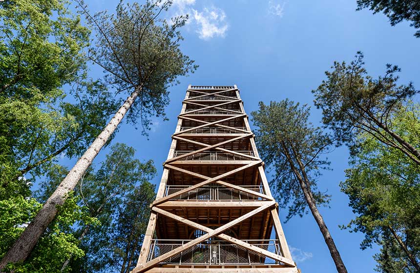 Surprise : nichée en forêt, la Tour Mangin, grimpez les escaliers !