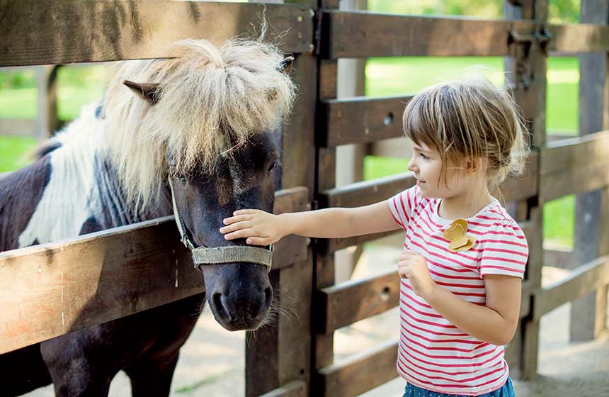 If the children fancy horseriding during your stay at the woodland cabin, Hardelot equestrian centre is on the doorstep