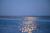 Les phoques en Baie de Somme à observer depuis Le Hourdel ou Berck