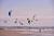 Le ballet de kite-surf à Cayeux-sur-mer