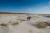 Les dunes du Marquenterre