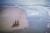 Chevauchée en Henson dans les plages du Marquenterre