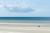 Immensité des plages du Marquenterre