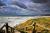La Pointe aux Oies : site naturel où il est agréable de se promener