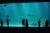 Nausicaa : découvrez le monde sous-marin en amoureux !