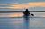 Observer les phoques en toute discrétion en kayak de mer