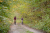 Promenade en vélo en forêt de Chantilly