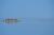 Sortie pirogue à la rencontre des phoques en Baie de Somme