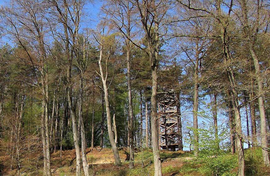 Surprise : nichée en forêt, la Tour Mangin, grimpez les escaliers !